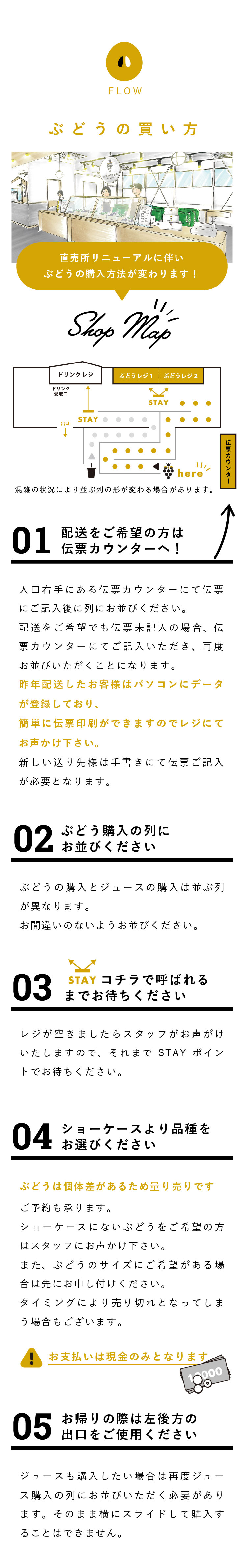 ぶどうの買い方