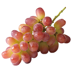 マスカットビオレ