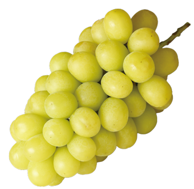 シャインマスカット